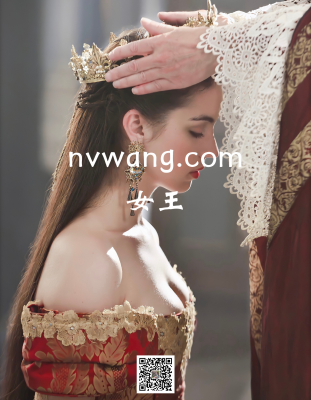 nvwang.com